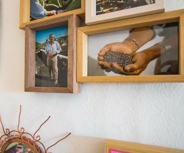 Kır Evi Casa Mi Tio Perico Mala