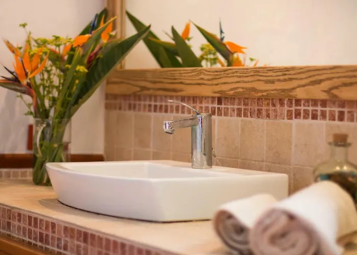 Casa Mi Tio Perico Kır Evi *